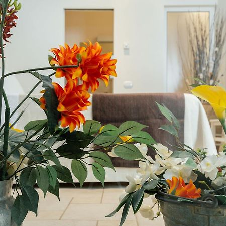 Il Claustro - Bed And Breakfast Altamura Dış mekan fotoğraf